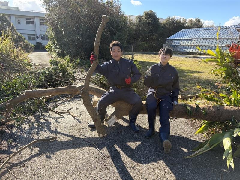 Image - 2026-02-13T111248.291